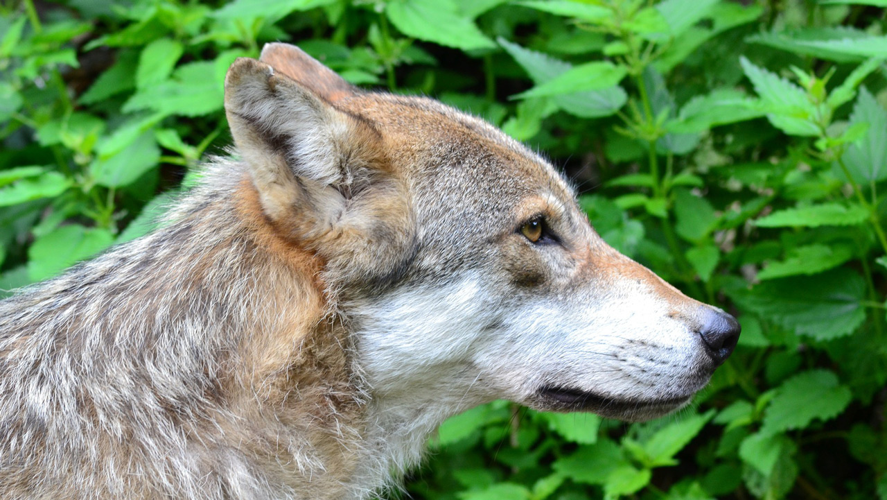 Geschichte des Seebachtals