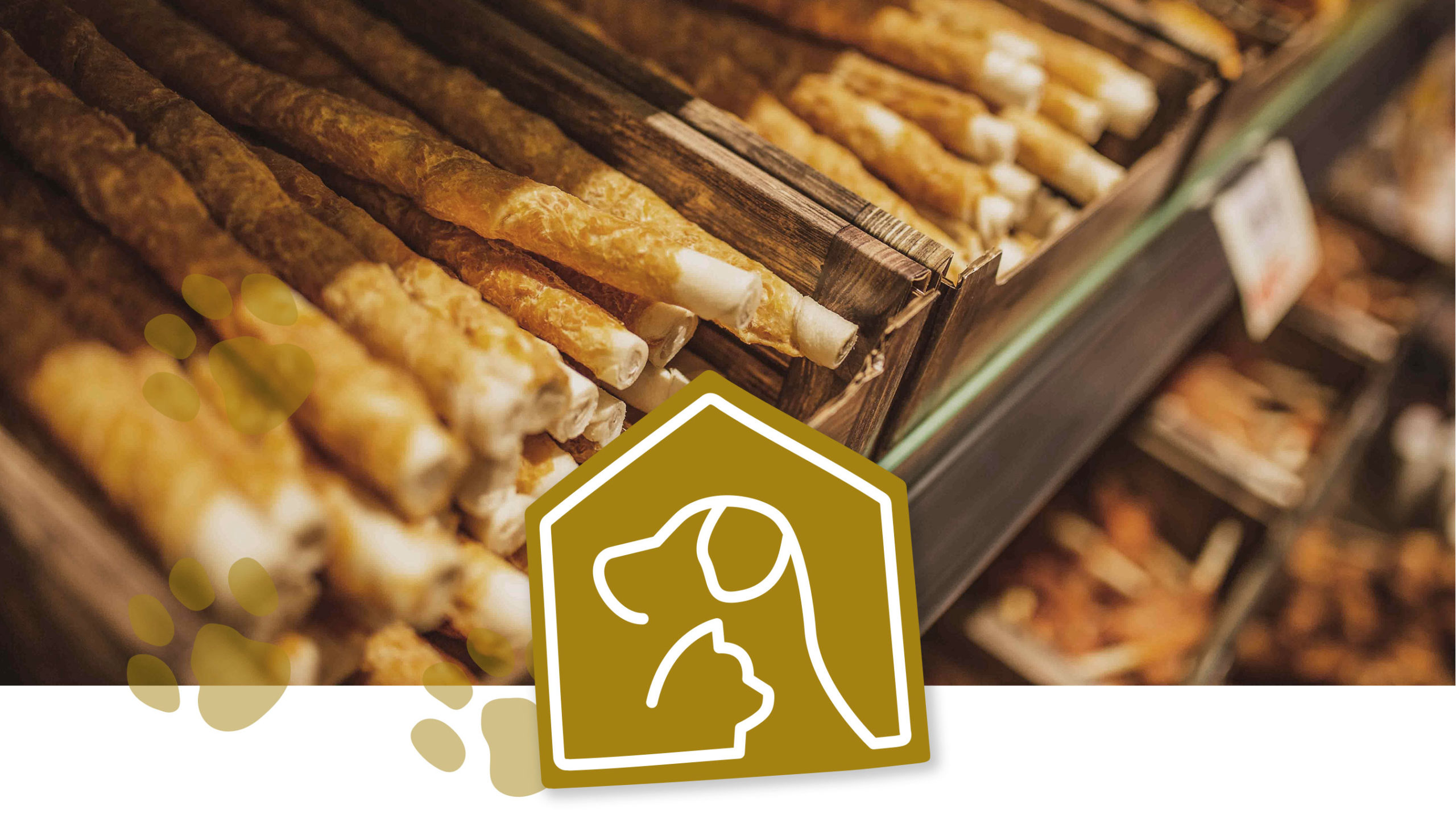 Pet-Shop_Baur_Entwicklung_01