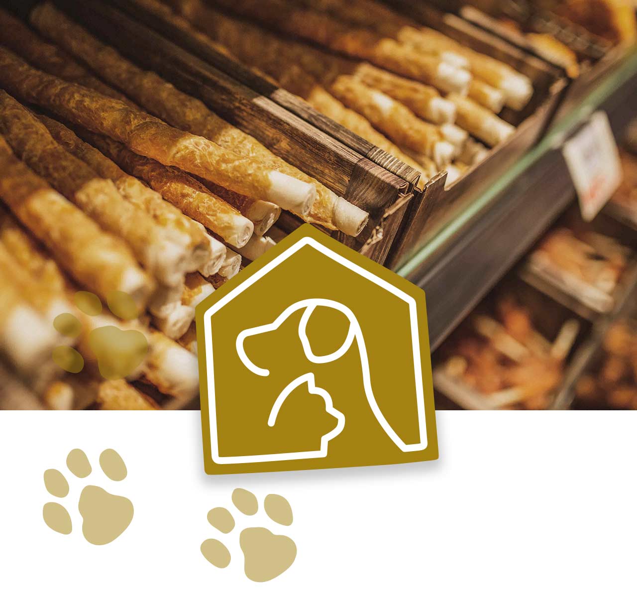 Pet-Shop_Baur_Entwicklung_Mobil_01